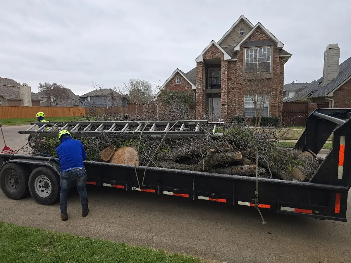 Expert Crown Reduction with proper safety equipment in Concho